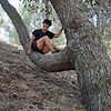 alexa_42017