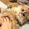 Esther_95873