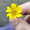 basmala_64300
