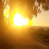 nazl_52976