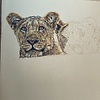 Angies-drawings
