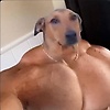 efe_50280