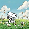 mady_96370