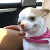 laura_97153