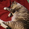xander_48653