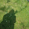 maryam_28271