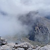 edelweiss.