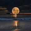 ali_72851