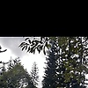 anisa_97276
