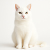 anasmm_69171