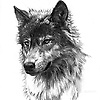 artur_86112