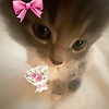 leah_24773