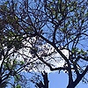 rajwa_58816