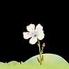 salvinogamartelo