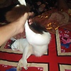 md_48860