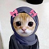 8_shahd_8