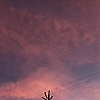 arya_72284