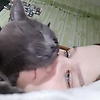 ann_39068