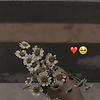 nargiza_22155