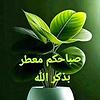 rami_53776