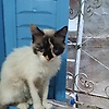 kim_79369