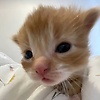 user_497187