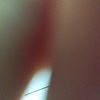 sjdh