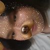 bilqis_10529