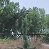 lak_70416