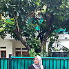 rani_70226