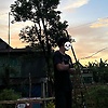 ffff_81387