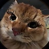 larie_40268