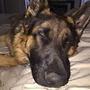 seyma_09