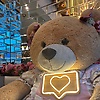 isa_50834