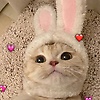 maria_14631