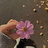 nihad_41375