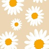 kkya448