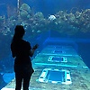 amy_59436