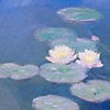 Allexarin
