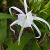 Rakesh_13125