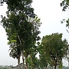 nayla_83128