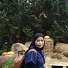 nisaseiril
