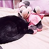 estrela_29507