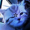 nay_71066