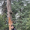 hassan_977289