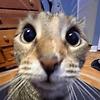 khalid_96893