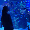 humayirra