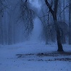 winterisbliss