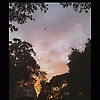 grace_21374