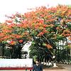 shihab.112
